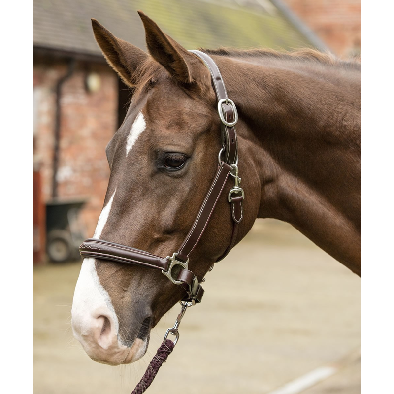 Mark Todd Raised Fancy Stitch Full Leather Head Collar in Black-1